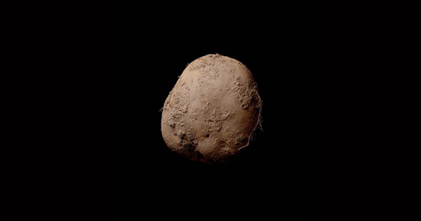A Businessman Bought This Potato Photograph For 97 Lakh Rupees Because The Photographer Was So Famous